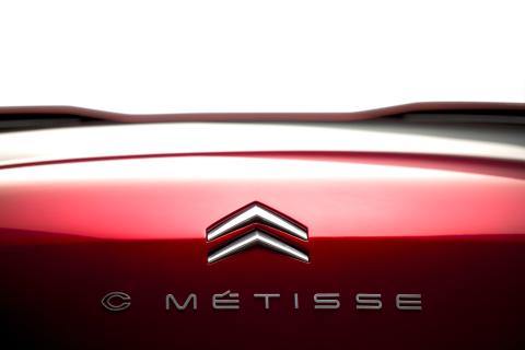 details_c_metisse_03.jpg